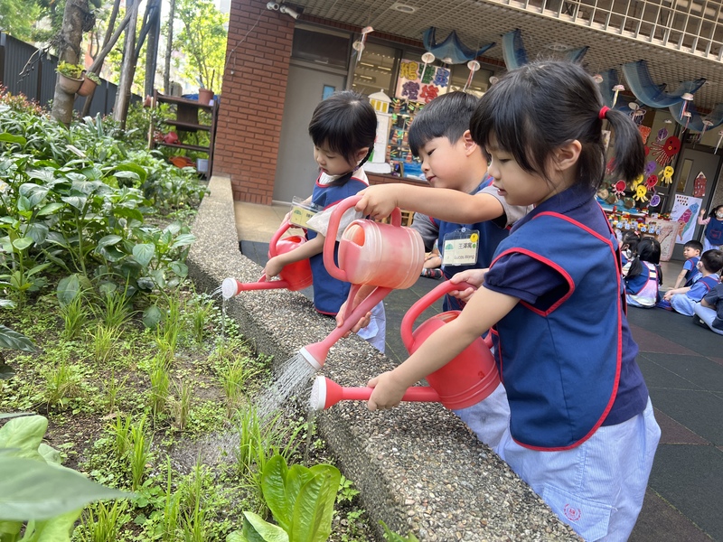 我的小菜園-幼兒觀察照顧植物的生長變化並體驗種植的樂趣。 